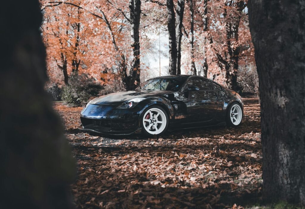 Black sports car parked in autumn woods