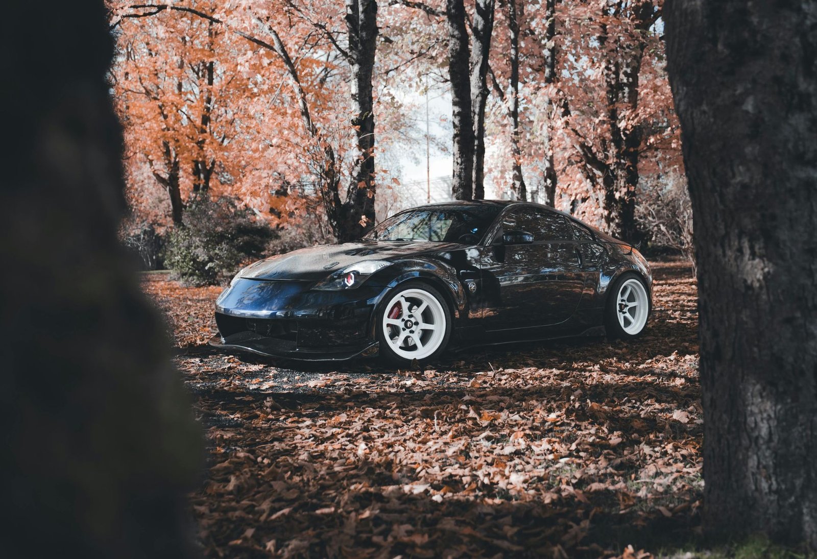 Black sports car parked in autumn woods